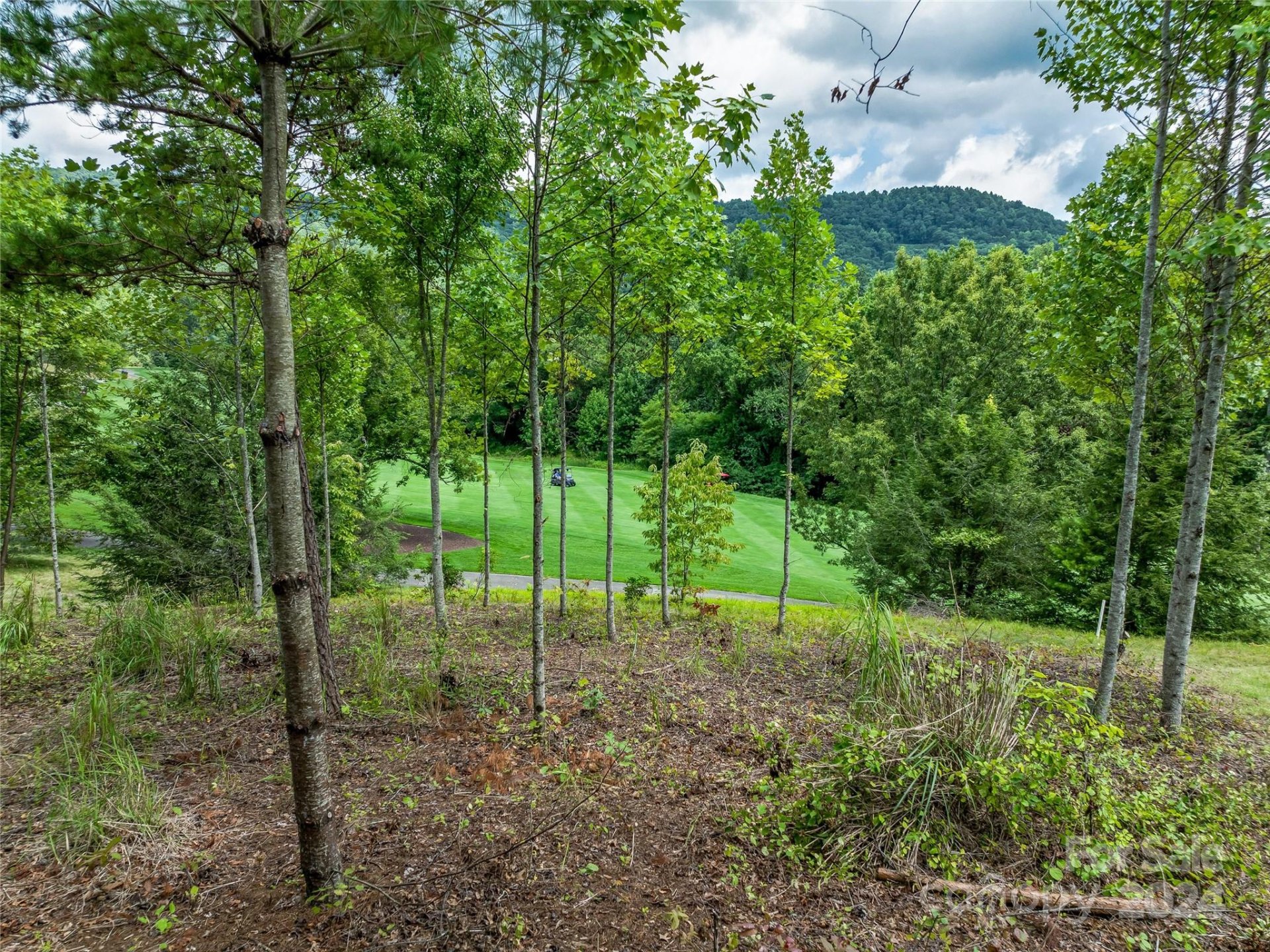 1822 Bella Vista Court