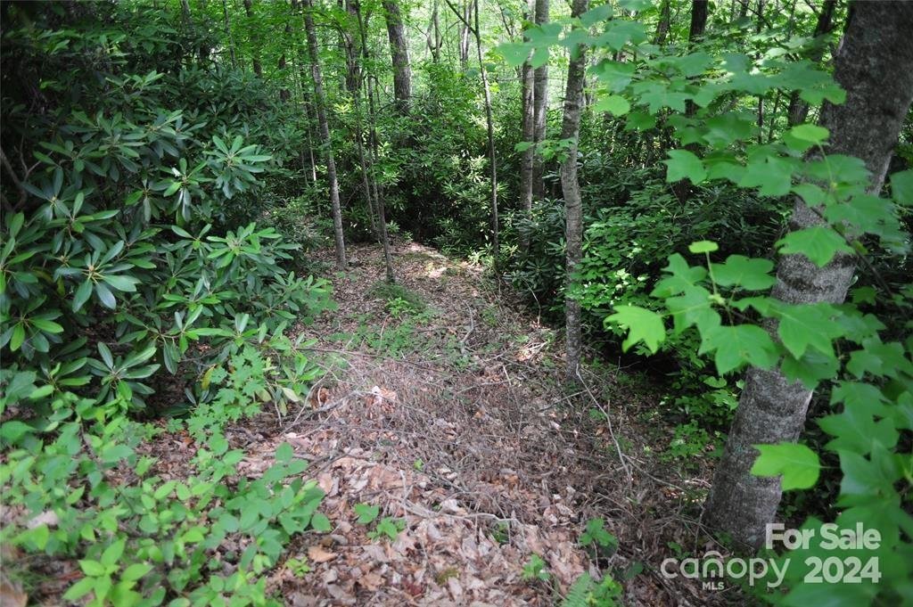 Property image 3 at 17 Wood Haven Lane, Black Mountain, NC 28711