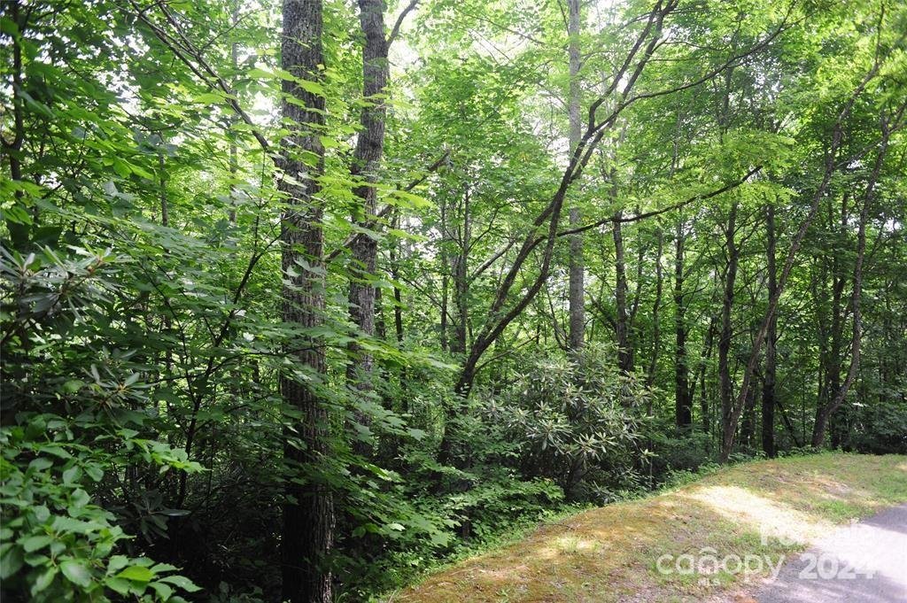 Property image 5 at 17 Wood Haven Lane, Black Mountain, NC 28711