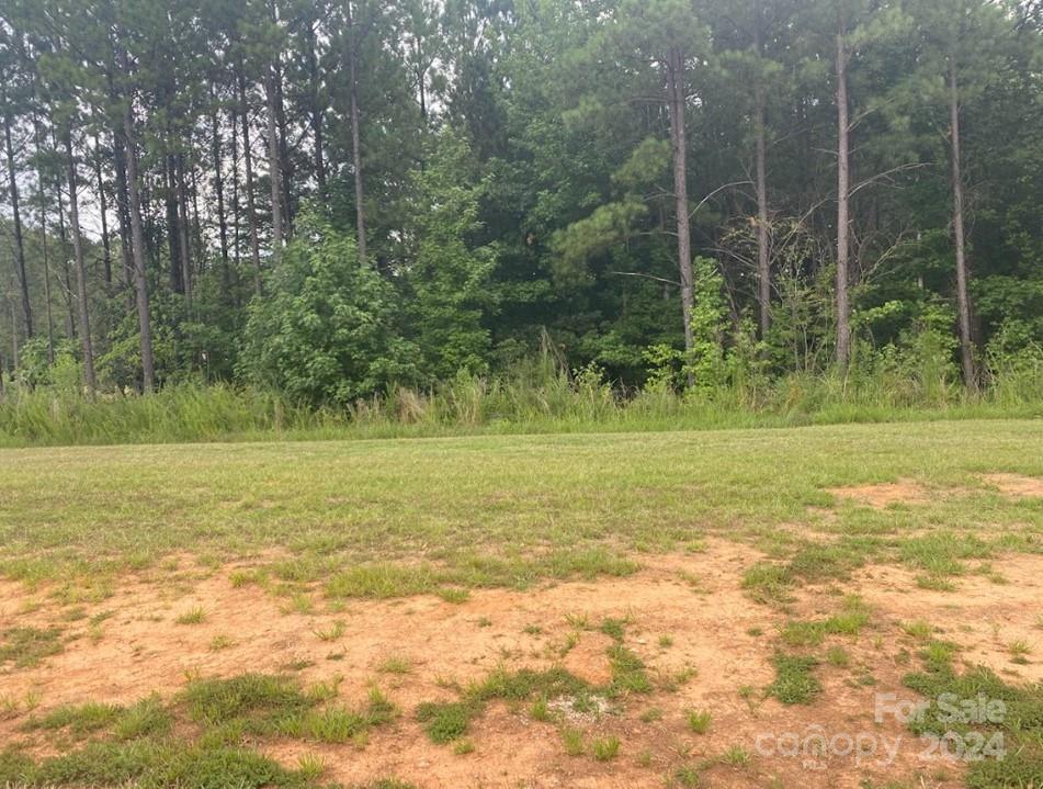 Property image 2 at 315 Grassy Ridge Court, Clover, SC 29710
