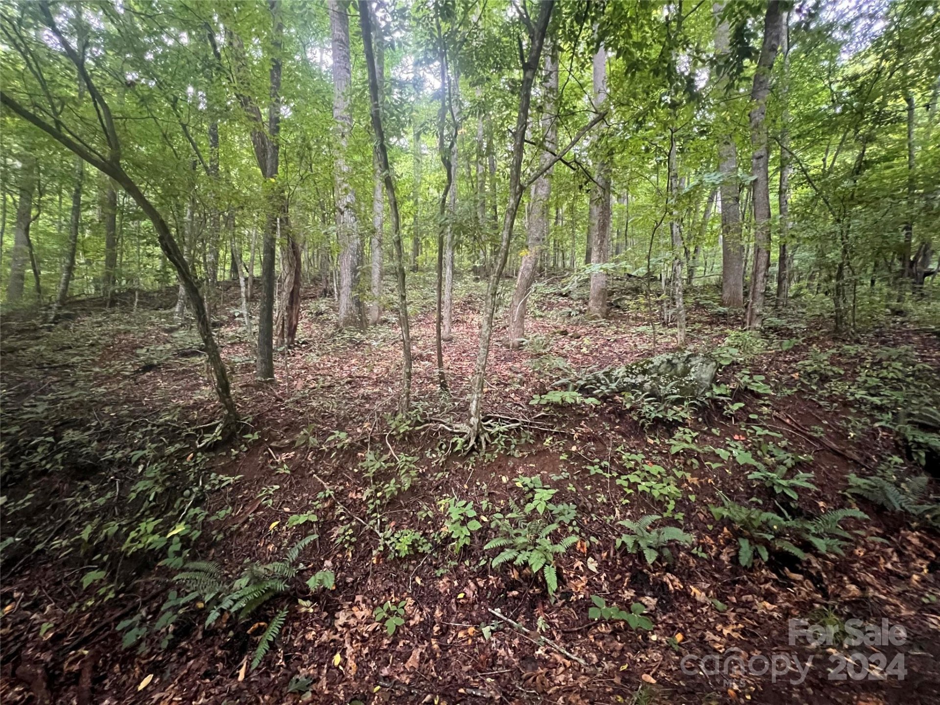 Property image 1 at 0 Country Club Drive, Canton, NC 28716