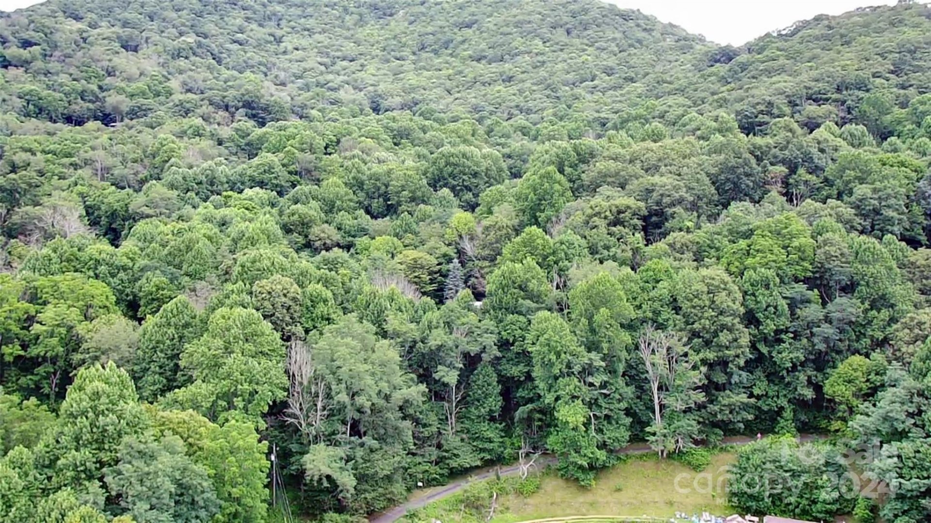 Property image 4 at Tbd Friendly Acres Drive, Waynesville, NC 28786