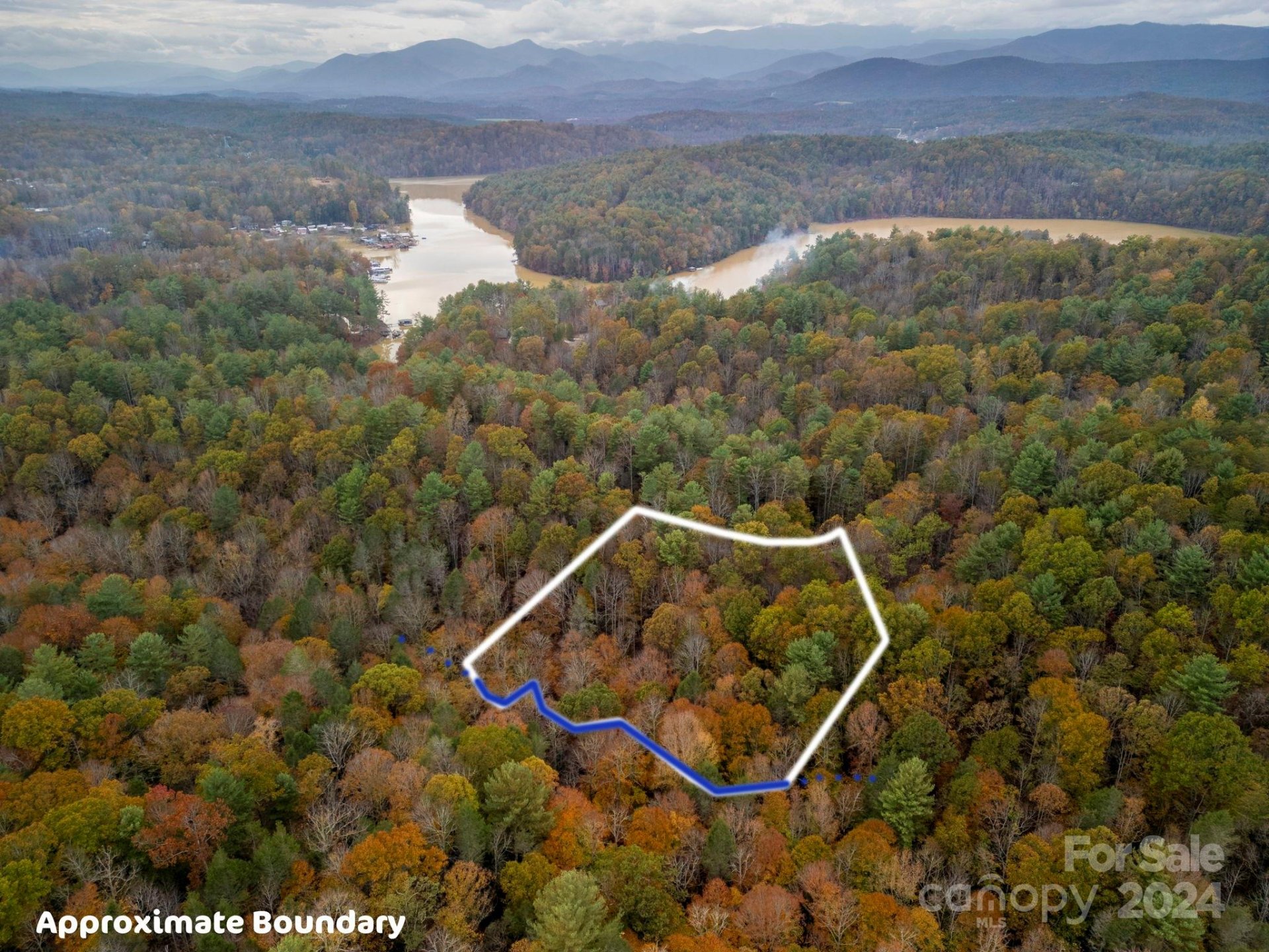Property image 3 at 139 Larkhaven Drive, Nebo, NC 28761