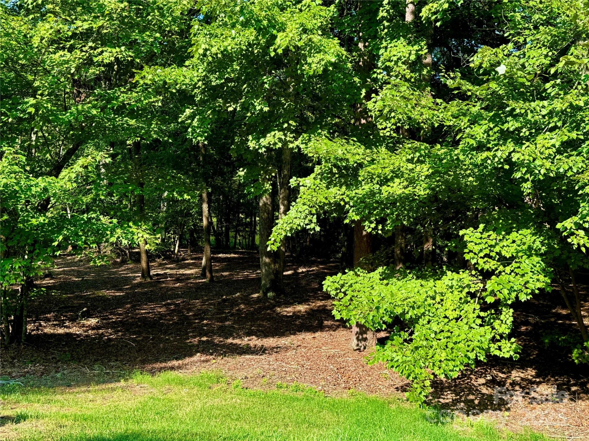 Property image 5 at 142 Long Cove, New London, NC 28127