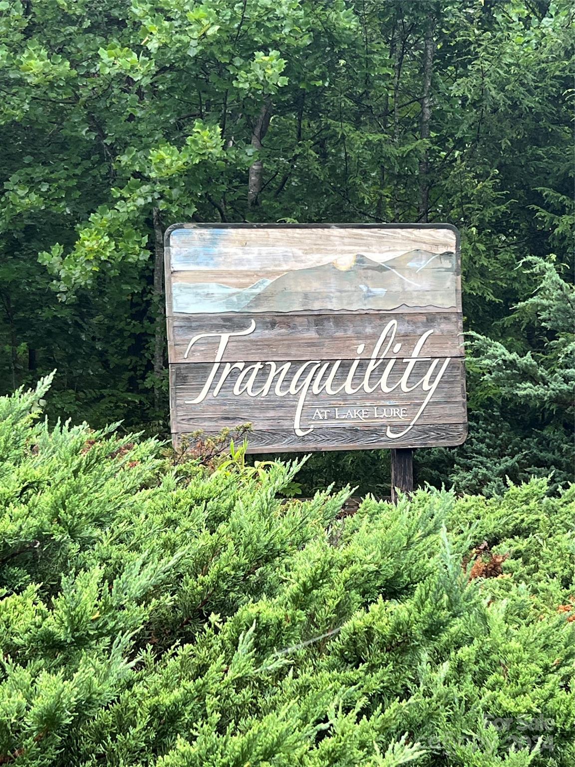 Tranquility at Lake Lure, Lake Lure Community