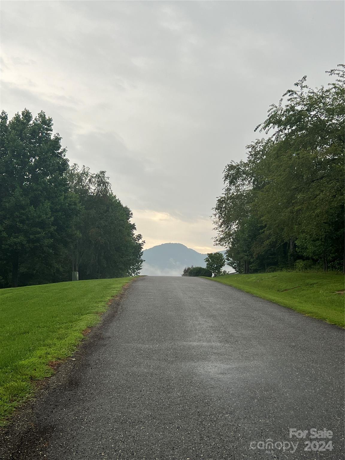 Property image 2 at 000 Easy Street, Lake Lure, NC 28746