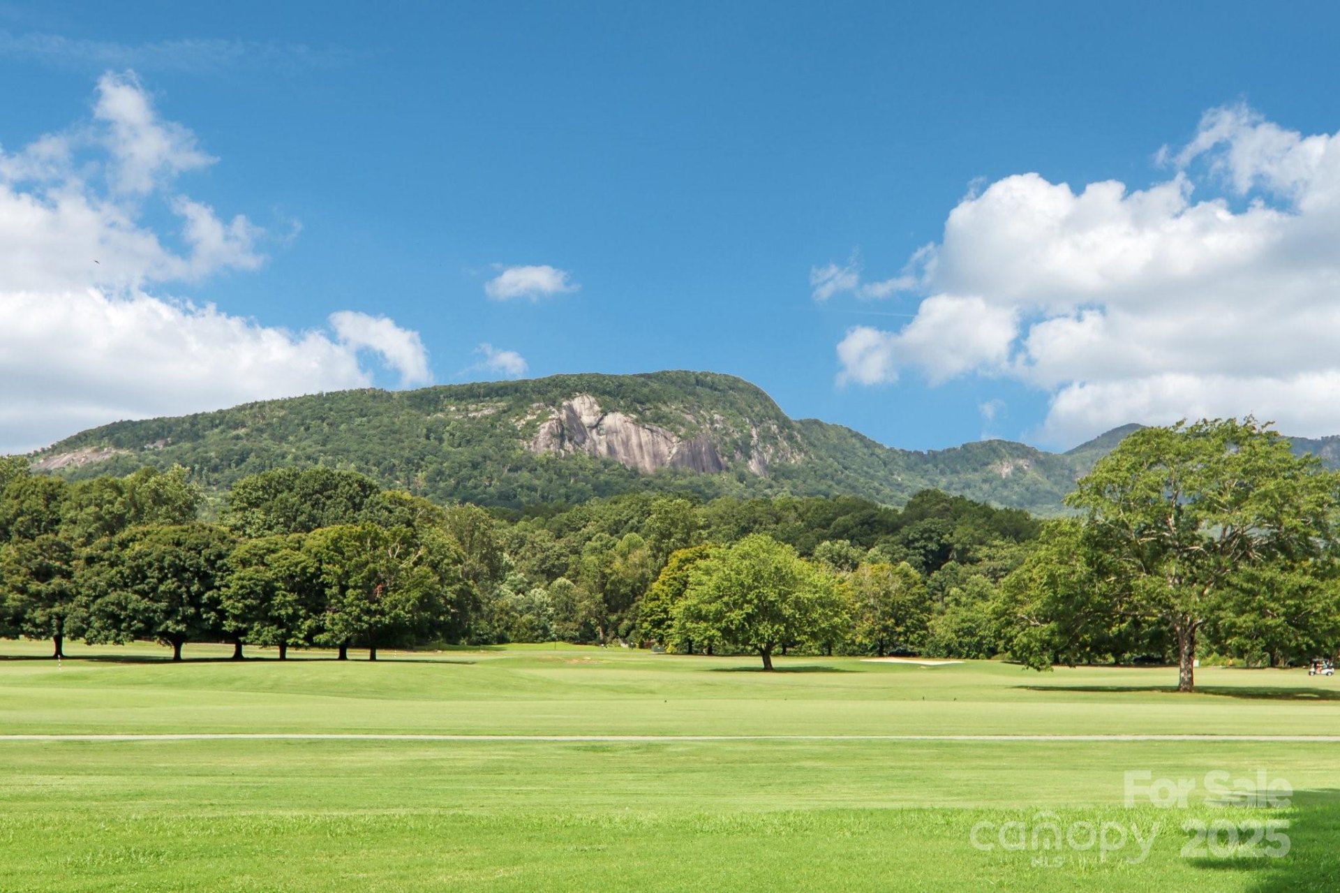 Property image 3 at 182 W Lake Drive, Lake Lure, NC 28746