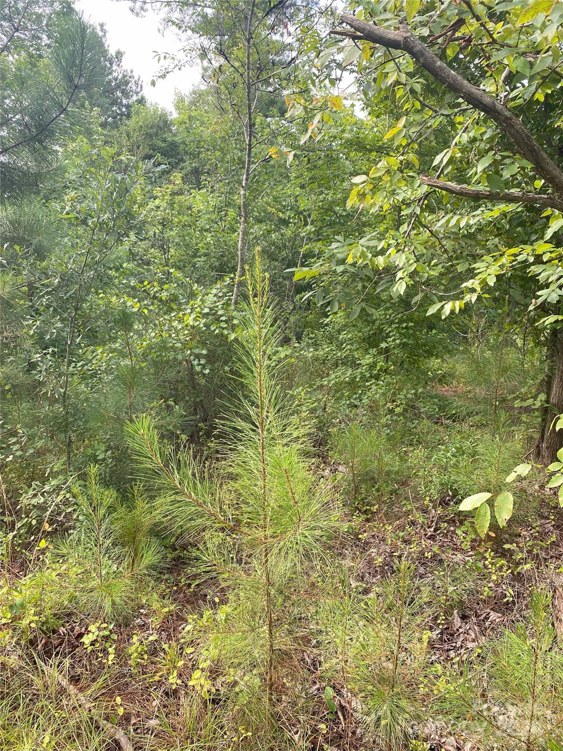 Property image 2 at 6249 Sanders Landing Lane, Clover, SC 29710