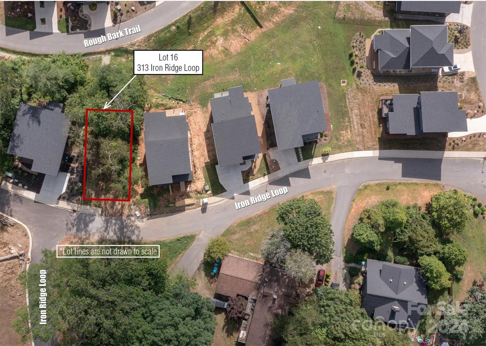 313 Iron Ridge Loop