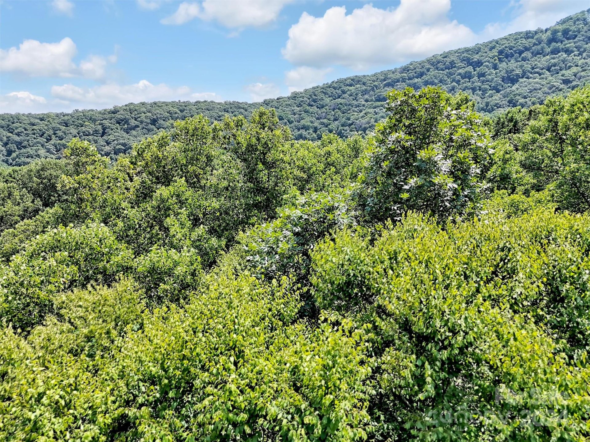 Property image 4 at Lot 9 Apple Creek Road, Waynesville, NC 28786