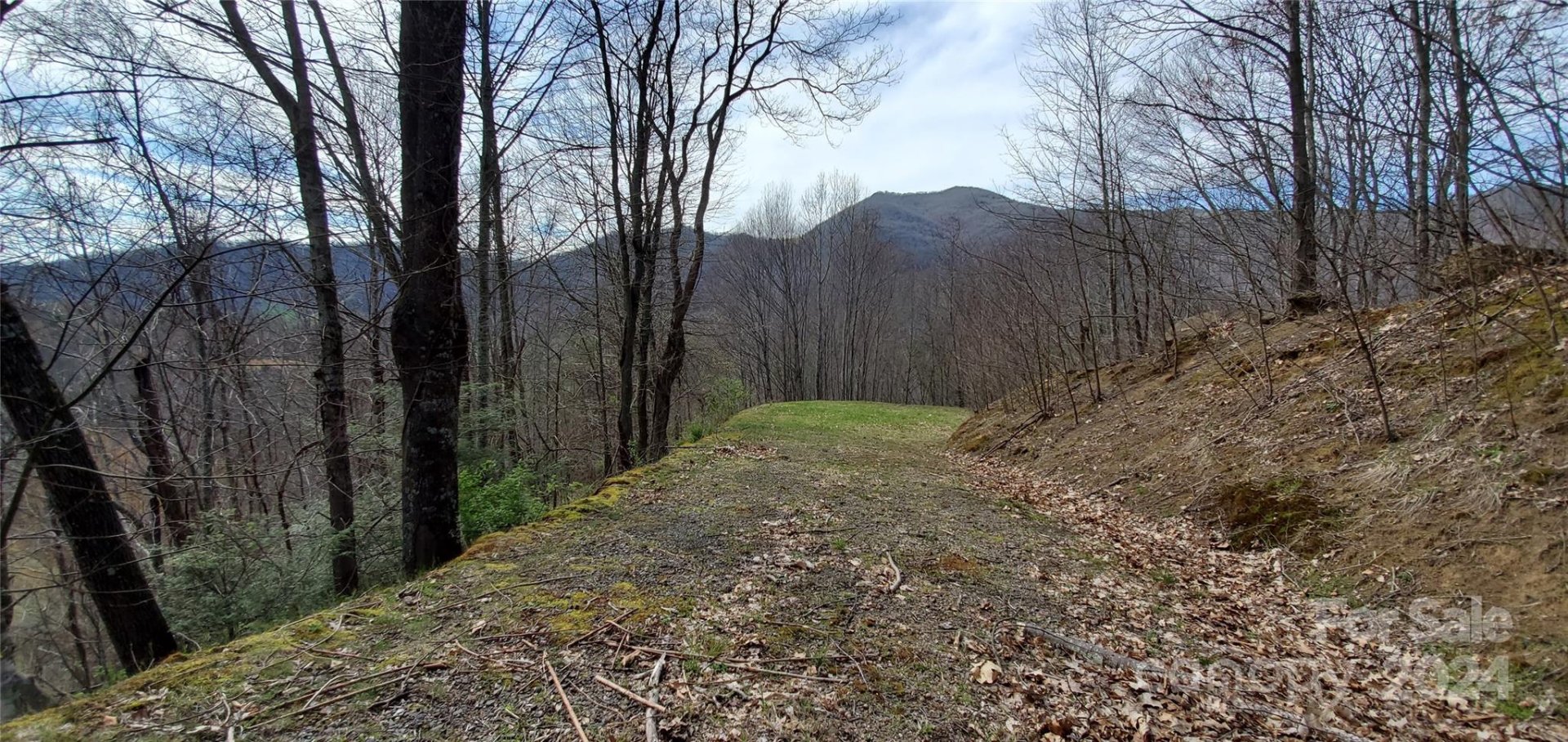 Property image 2 at 9999 Sunset Falls Drive, Clyde, NC 28716