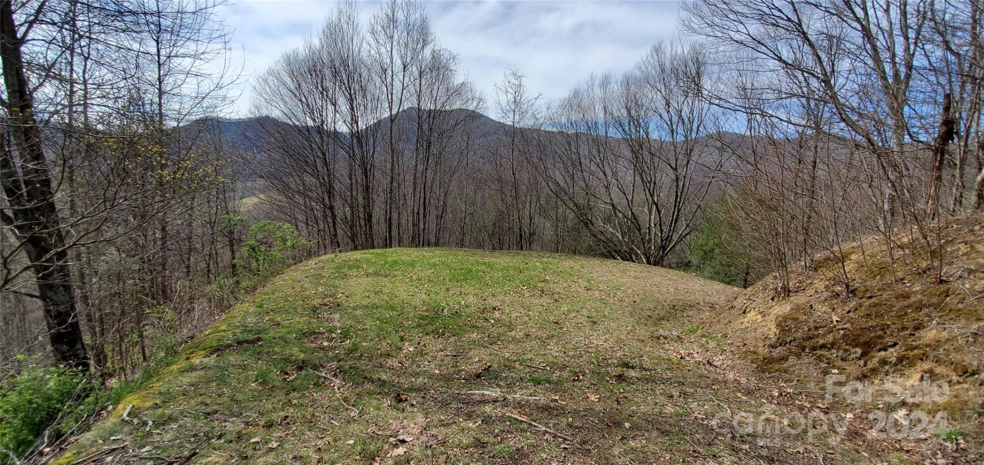 Property image 3 at 9999 Sunset Falls Drive, Clyde, NC 28716
