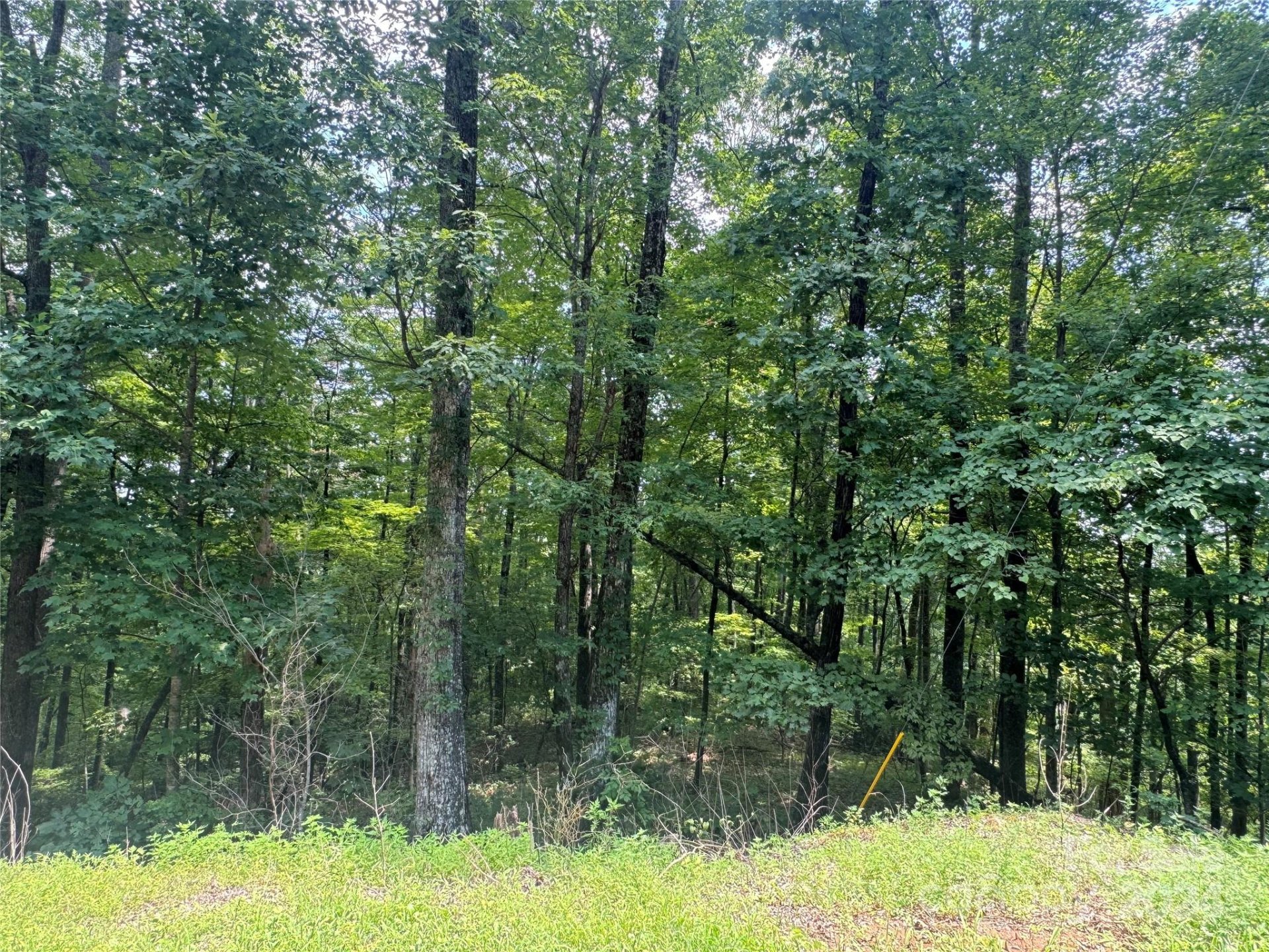 Property image 4 at 177 Peartree Drive, Lake Lure, NC 28746