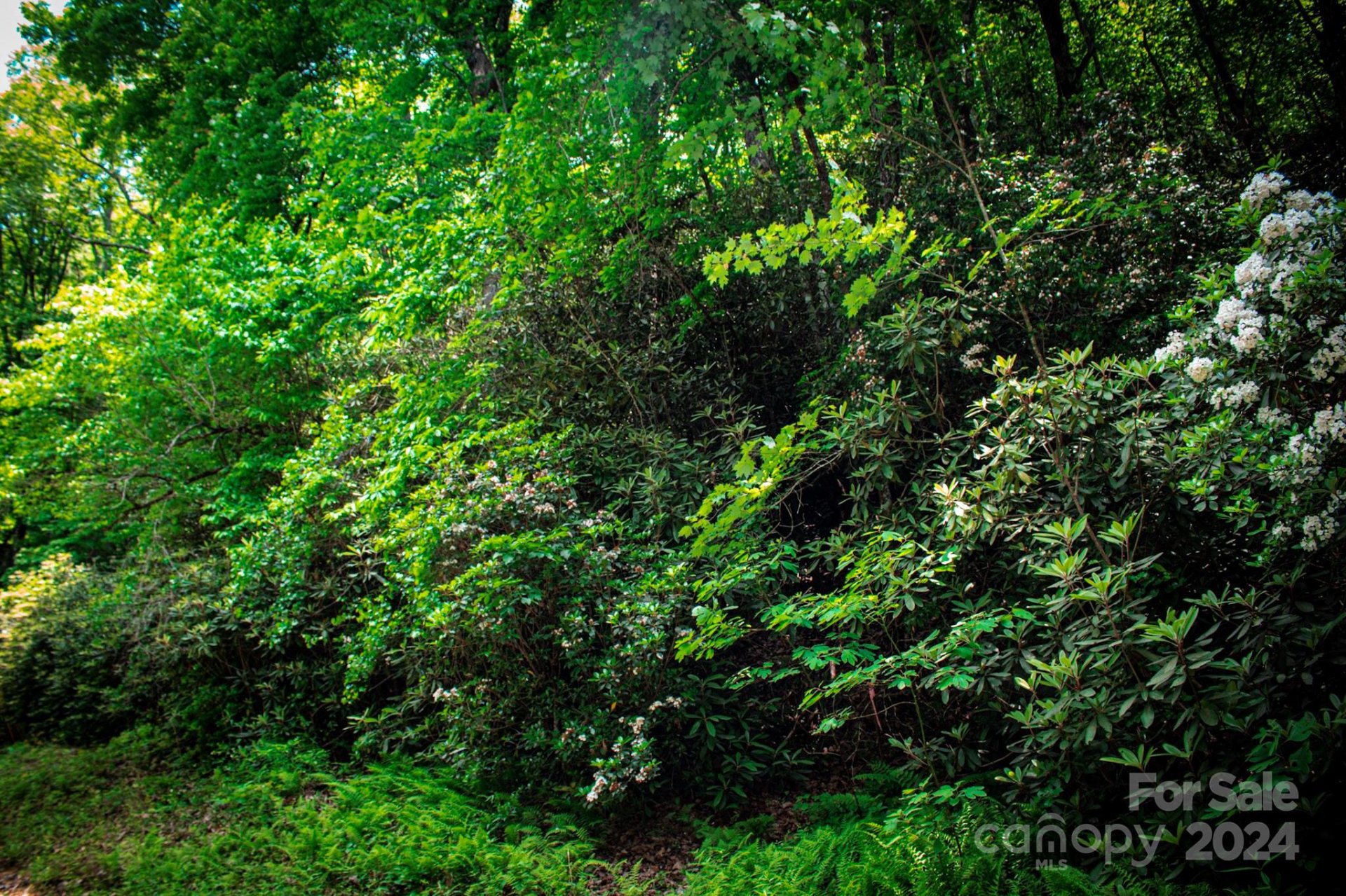 Property image 2 at Tbd Fox Den Road, Brevard, NC 28712