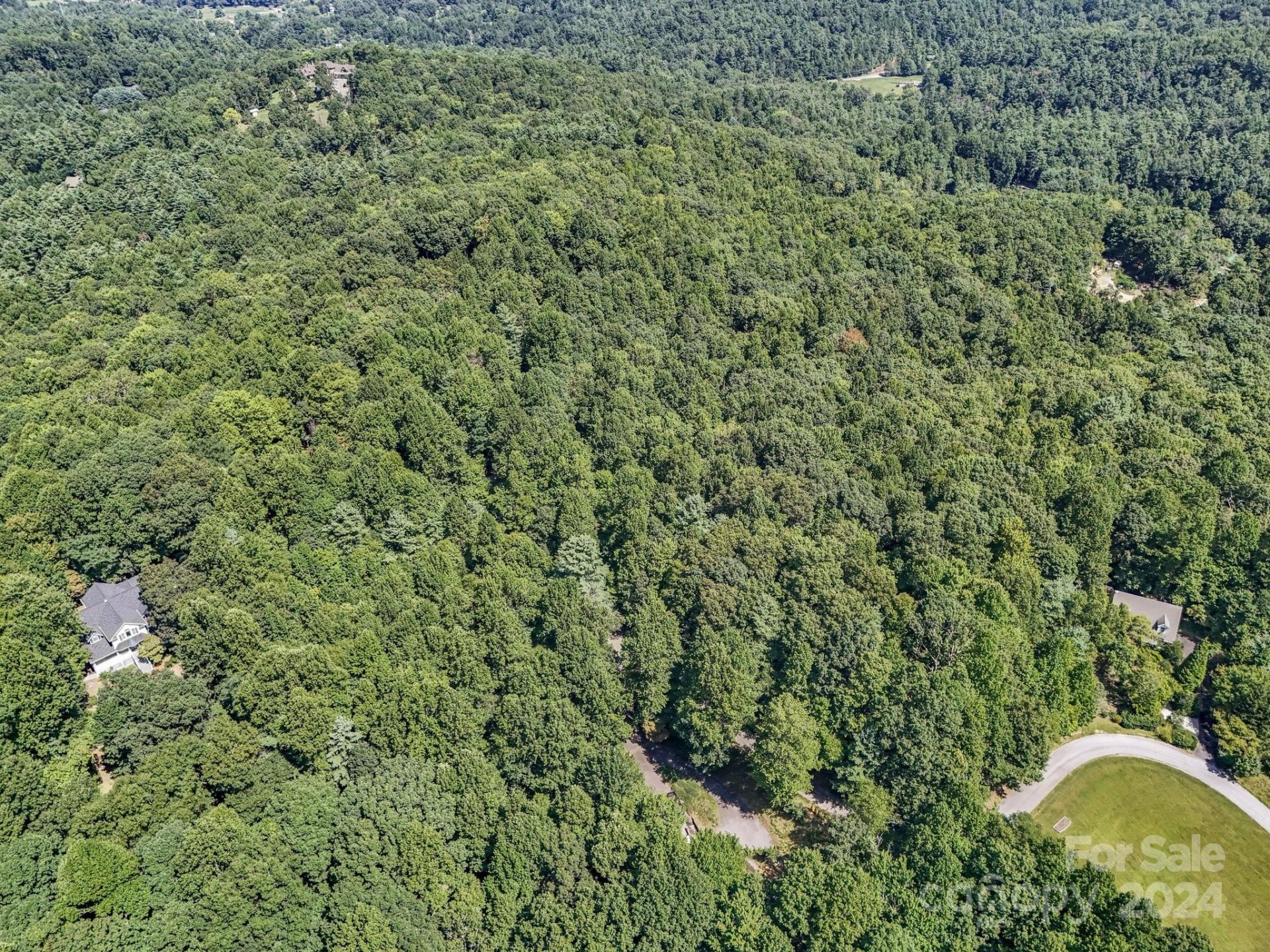 Property image 3 at Sr1196 C Evans Road, Hendersonville, NC 28739