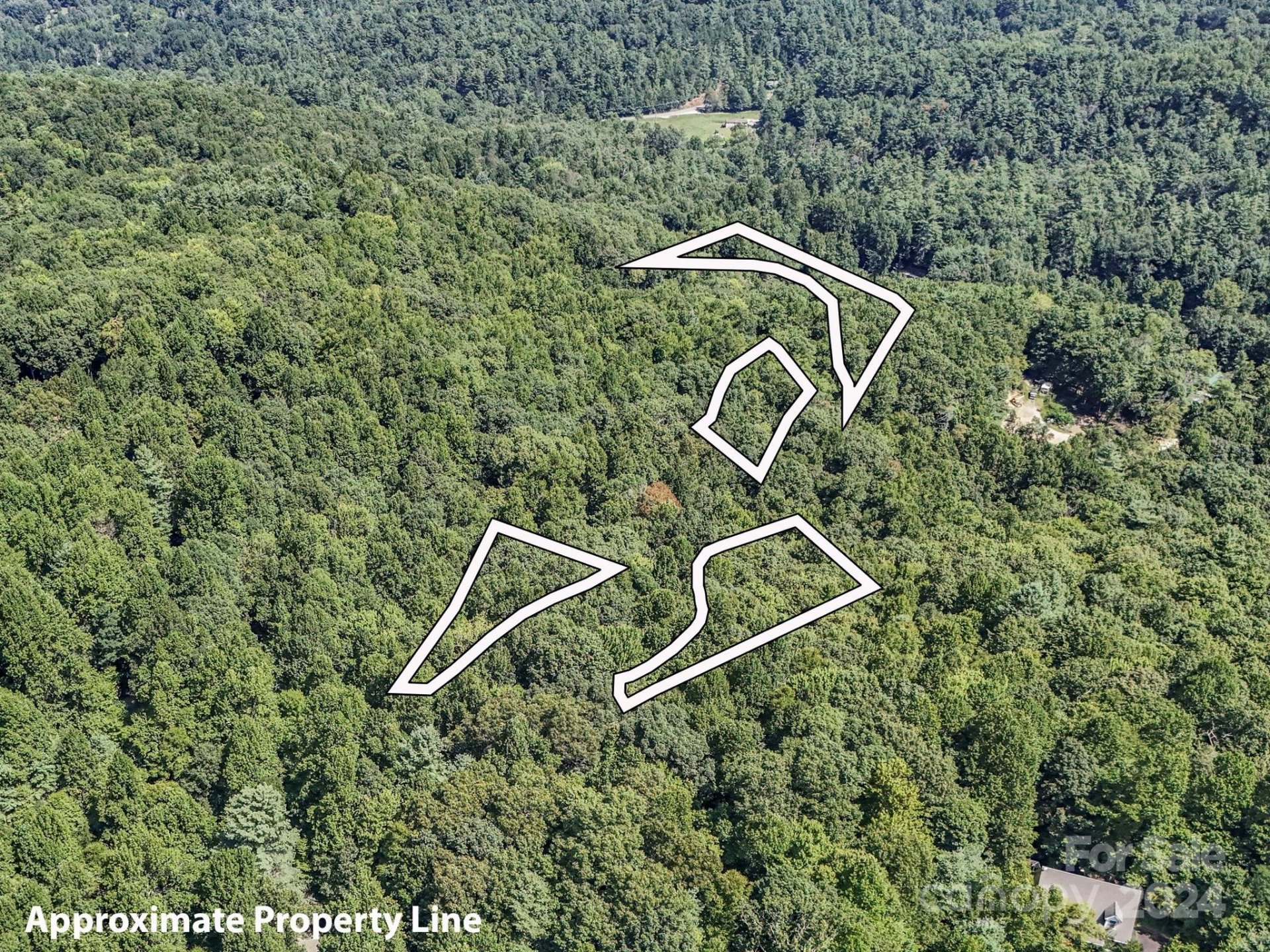 Property image 2 at Sr1196 E Evans Road, Hendersonville, NC 28739