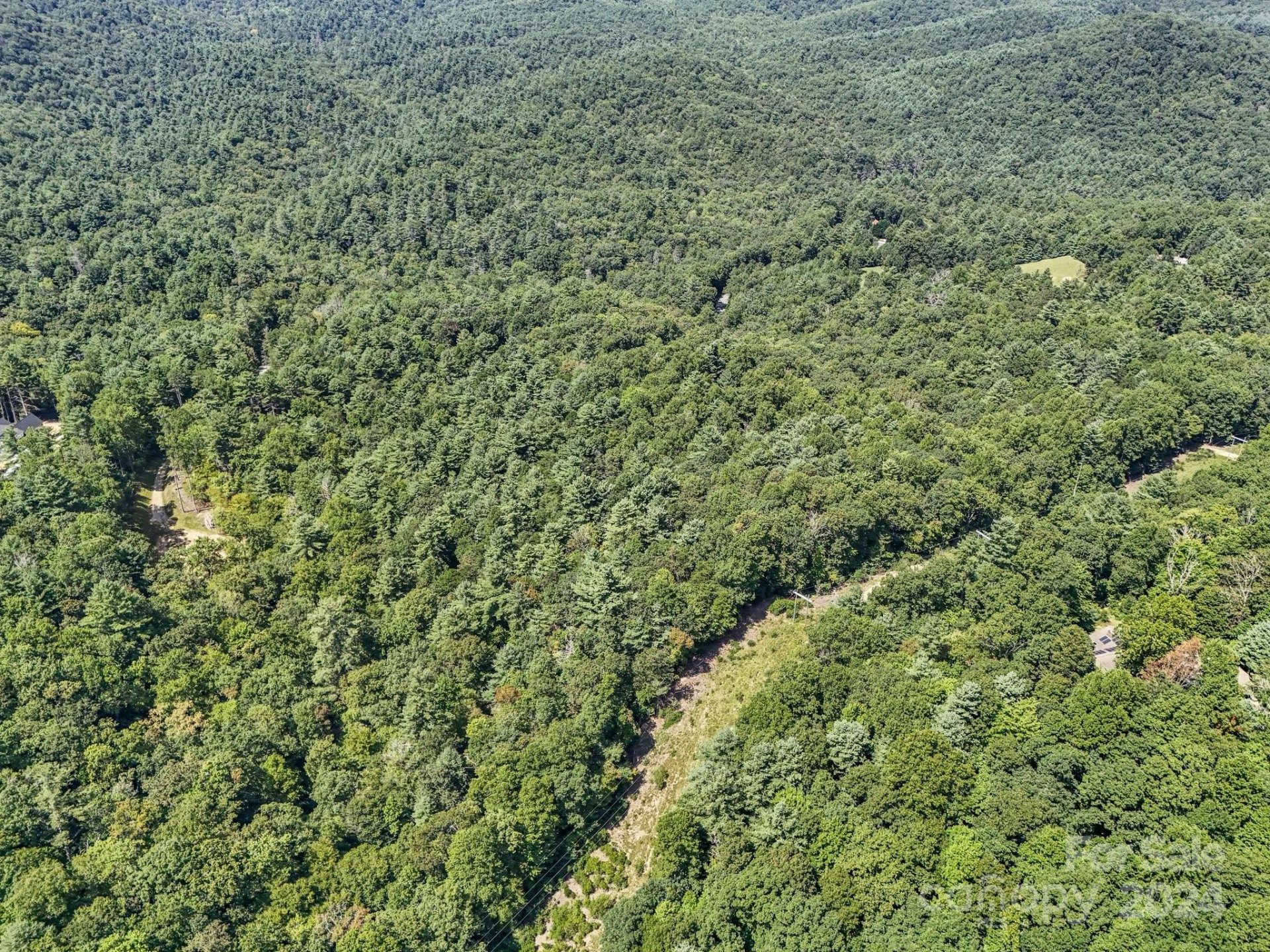 Property image 4 at Sr1196 E Evans Road, Hendersonville, NC 28739