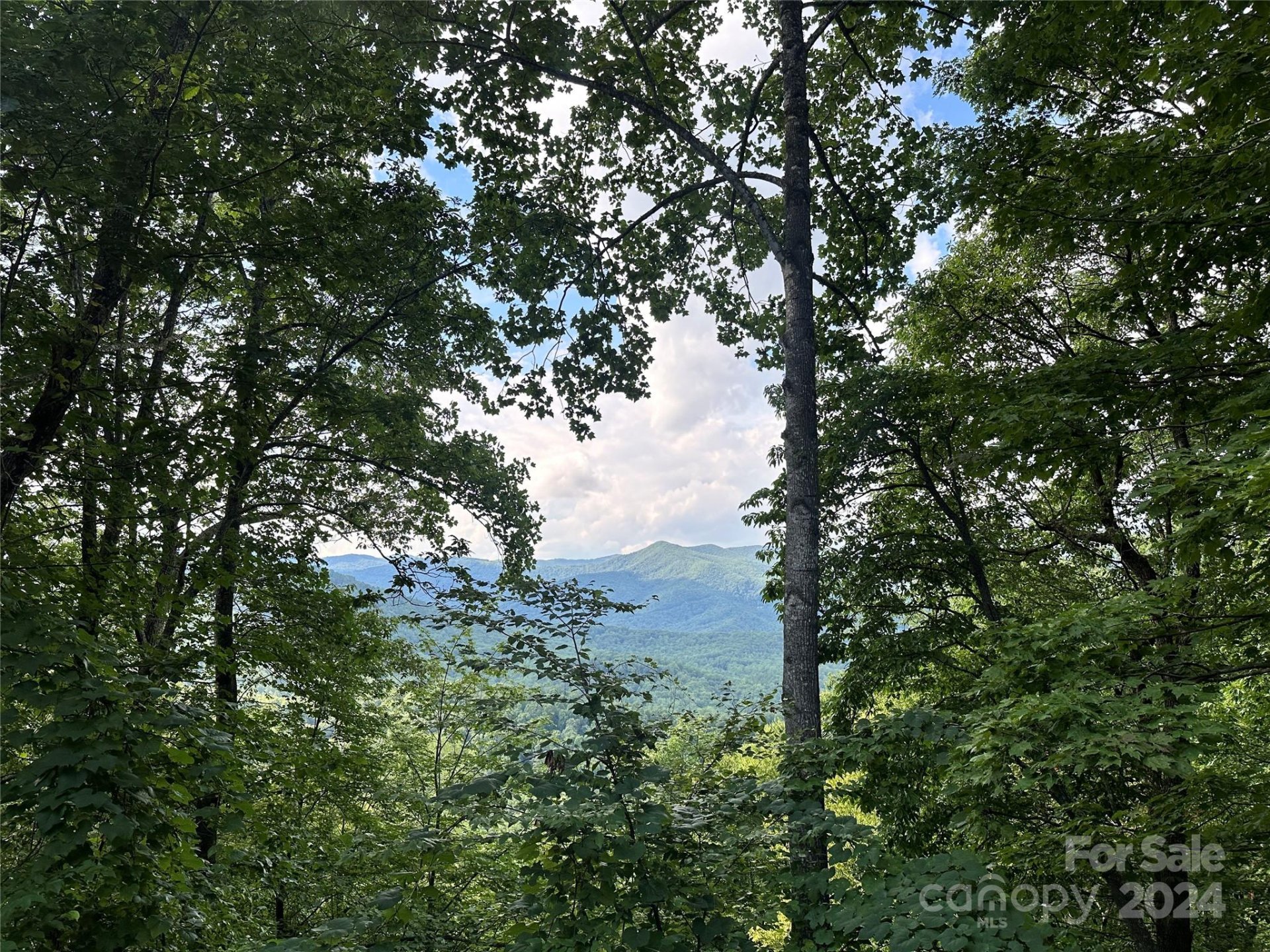 Property image 1 at 00000 Medford Drive, Fairview, NC 28730