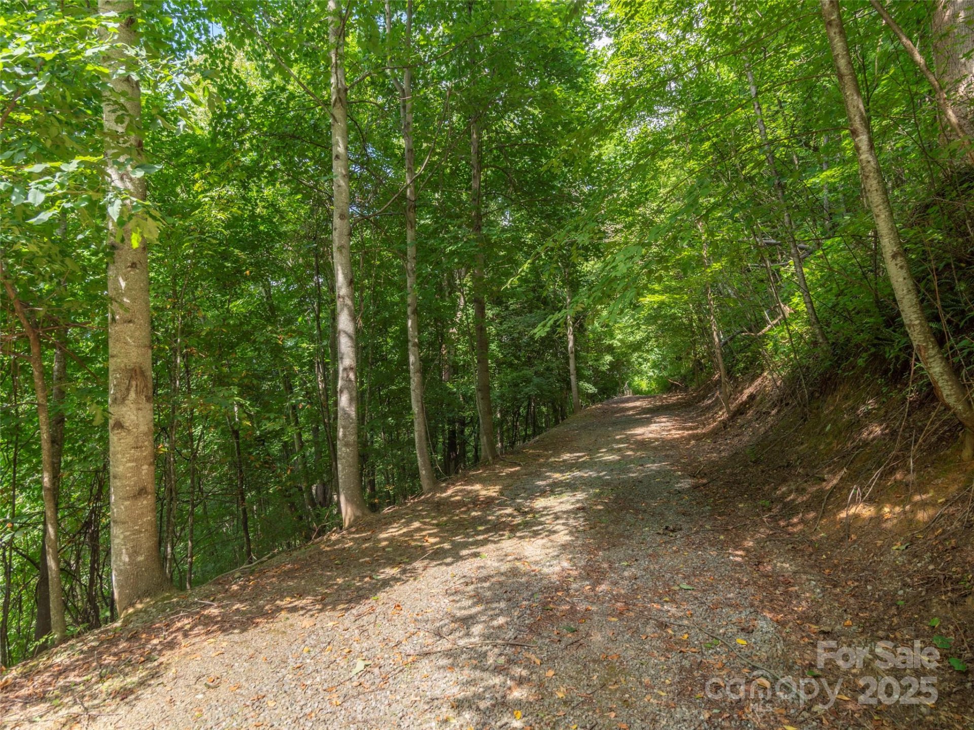 Property image 4 at 00 Pitch Fork Cove, Waynesville, NC 28785