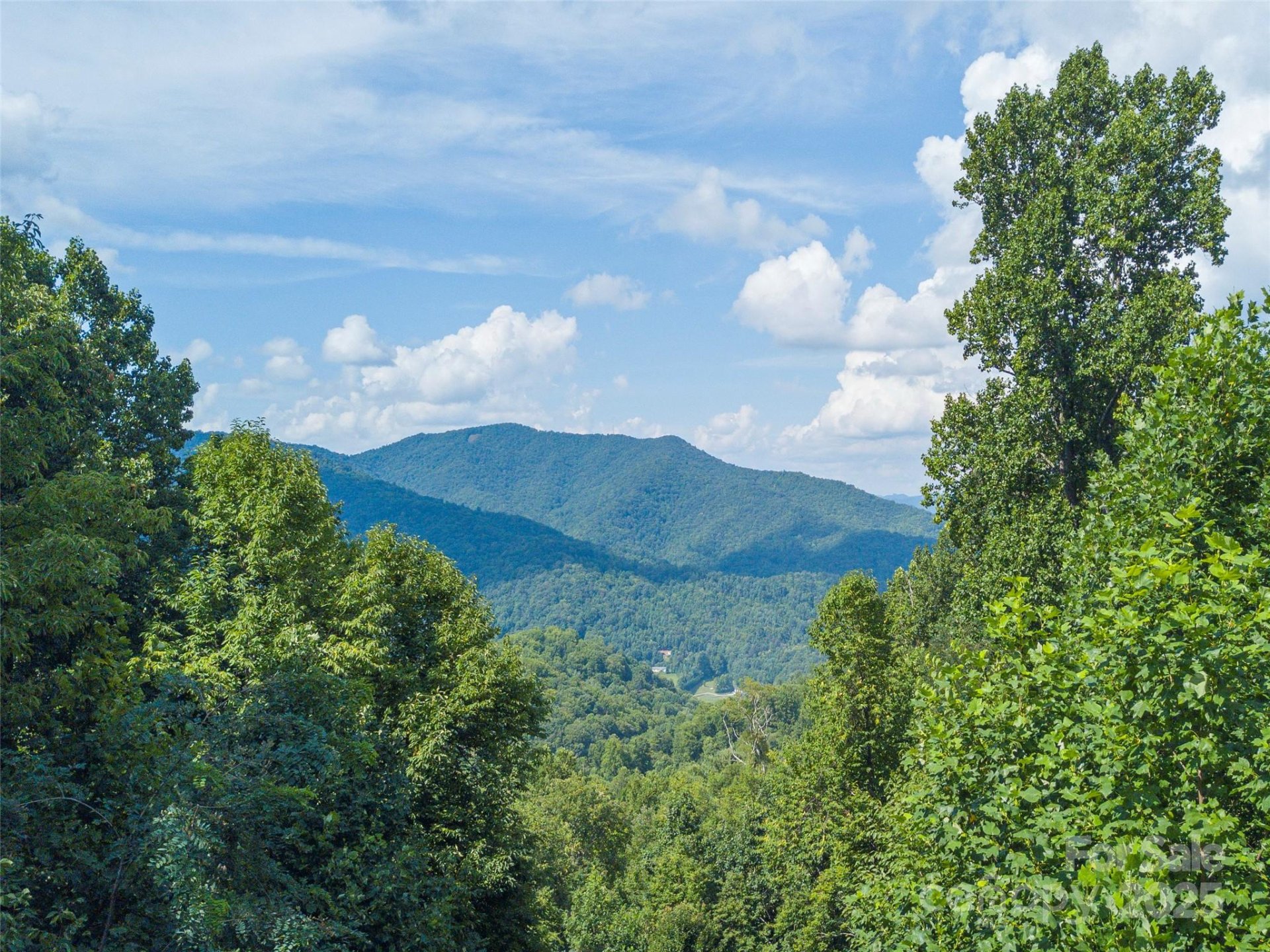 Property image 5 at 00 Pitch Fork Cove, Waynesville, NC 28785