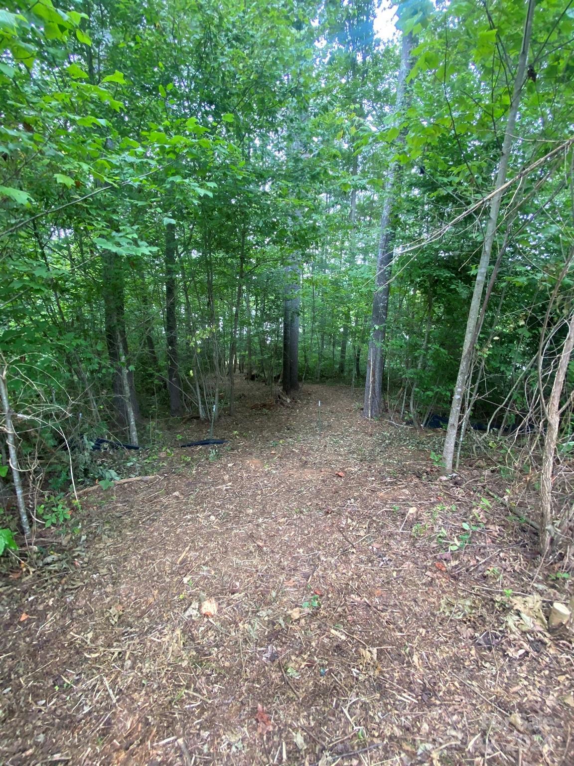Property image 3 at 338 E Settings Boulevard, Valdese, NC 28690