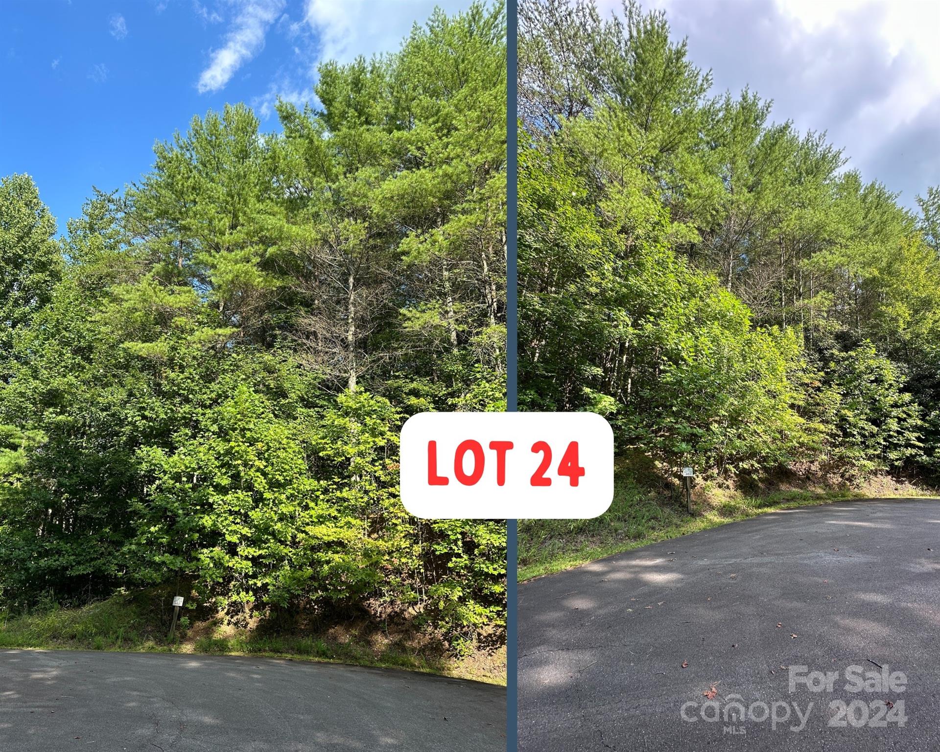 Property image 4 at 0 Narrow Gauge Drive, Lenoir, NC 28645