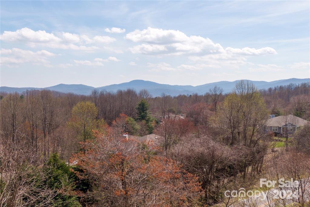 Property image 3 at 000 Berry Creek Drive, Flat Rock, NC 28731