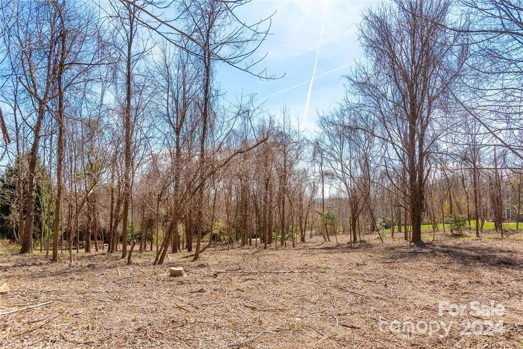 Property image 4 at 000 Berry Creek Drive, Flat Rock, NC 28731