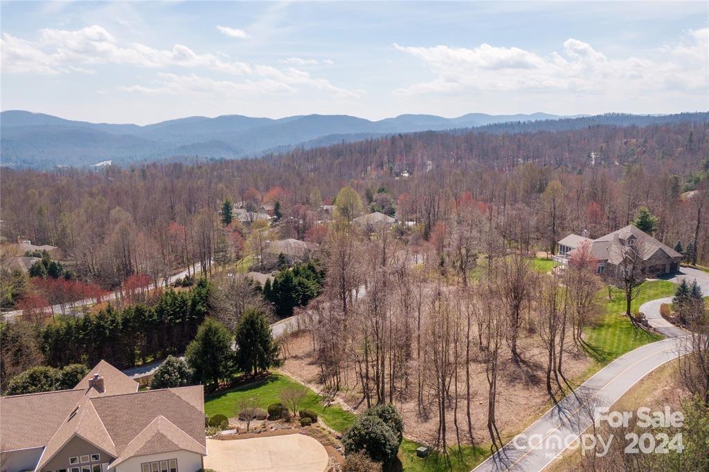Property image 5 at 000 Berry Creek Drive, Flat Rock, NC 28731