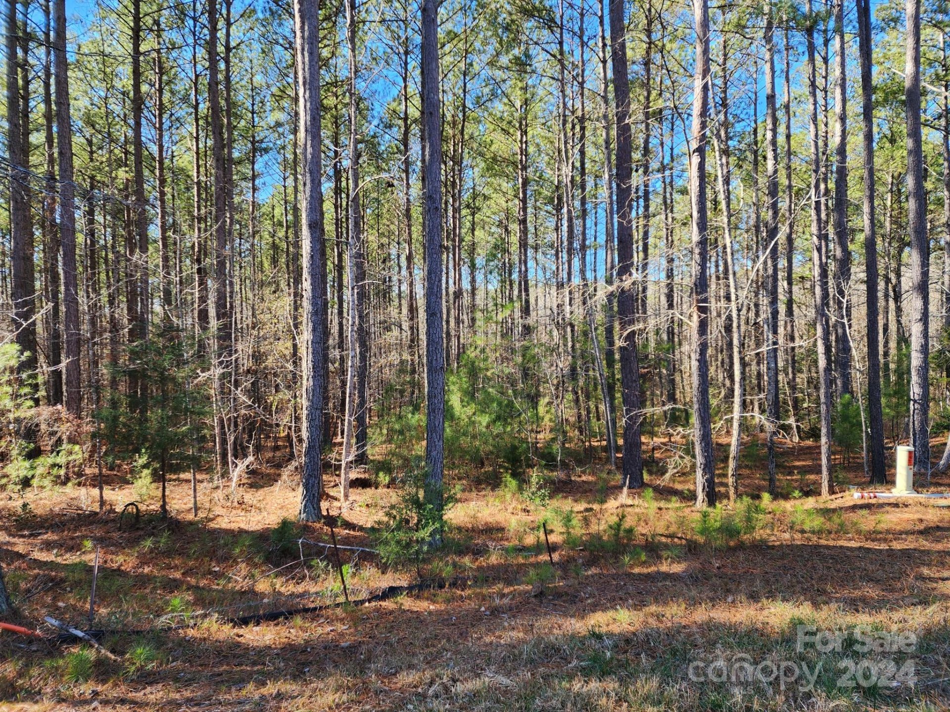 Property image 2 at 3331 Sherman Drive, Lancaster, SC 29720