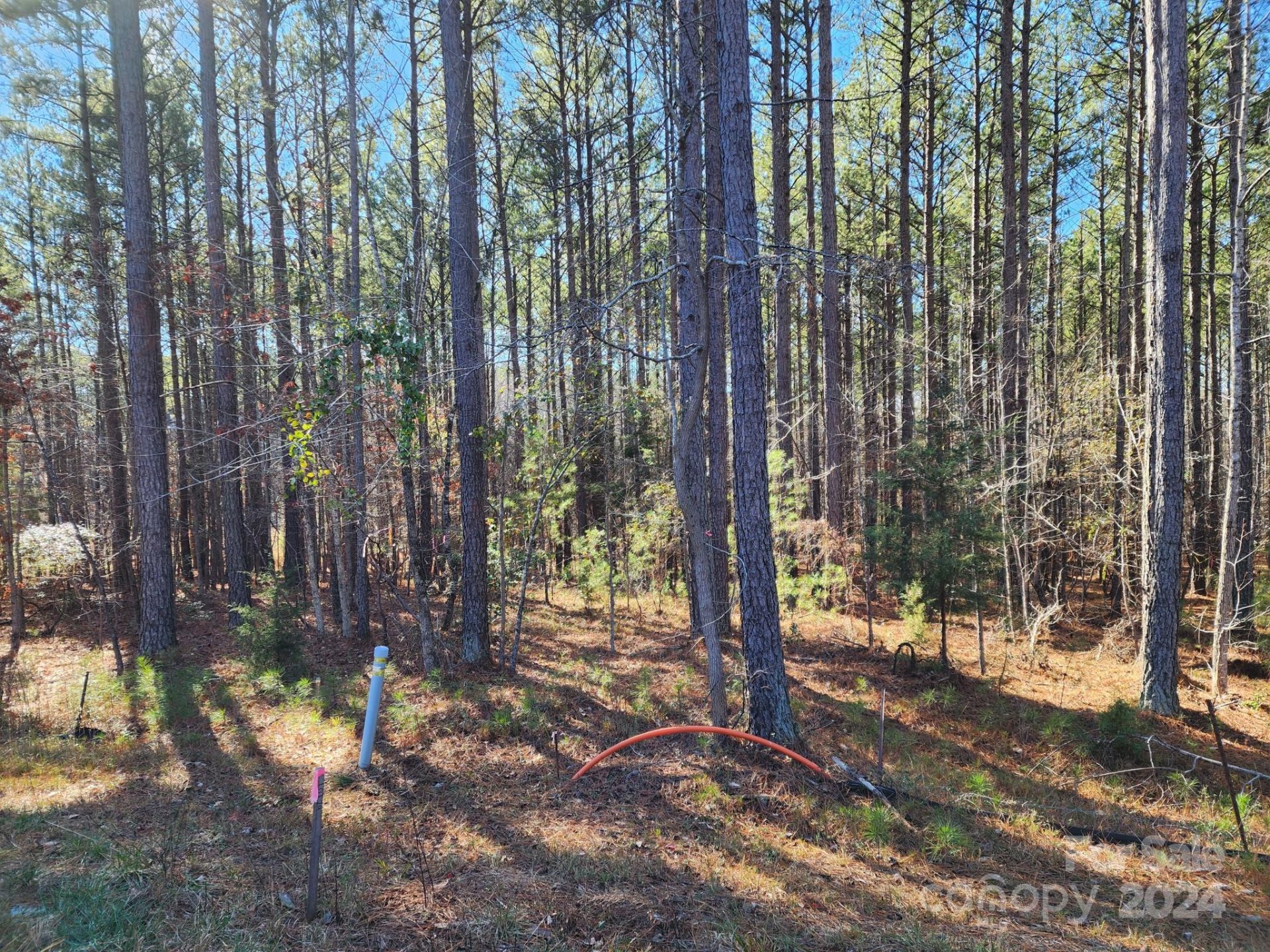 Property image 3 at 3331 Sherman Drive, Lancaster, SC 29720