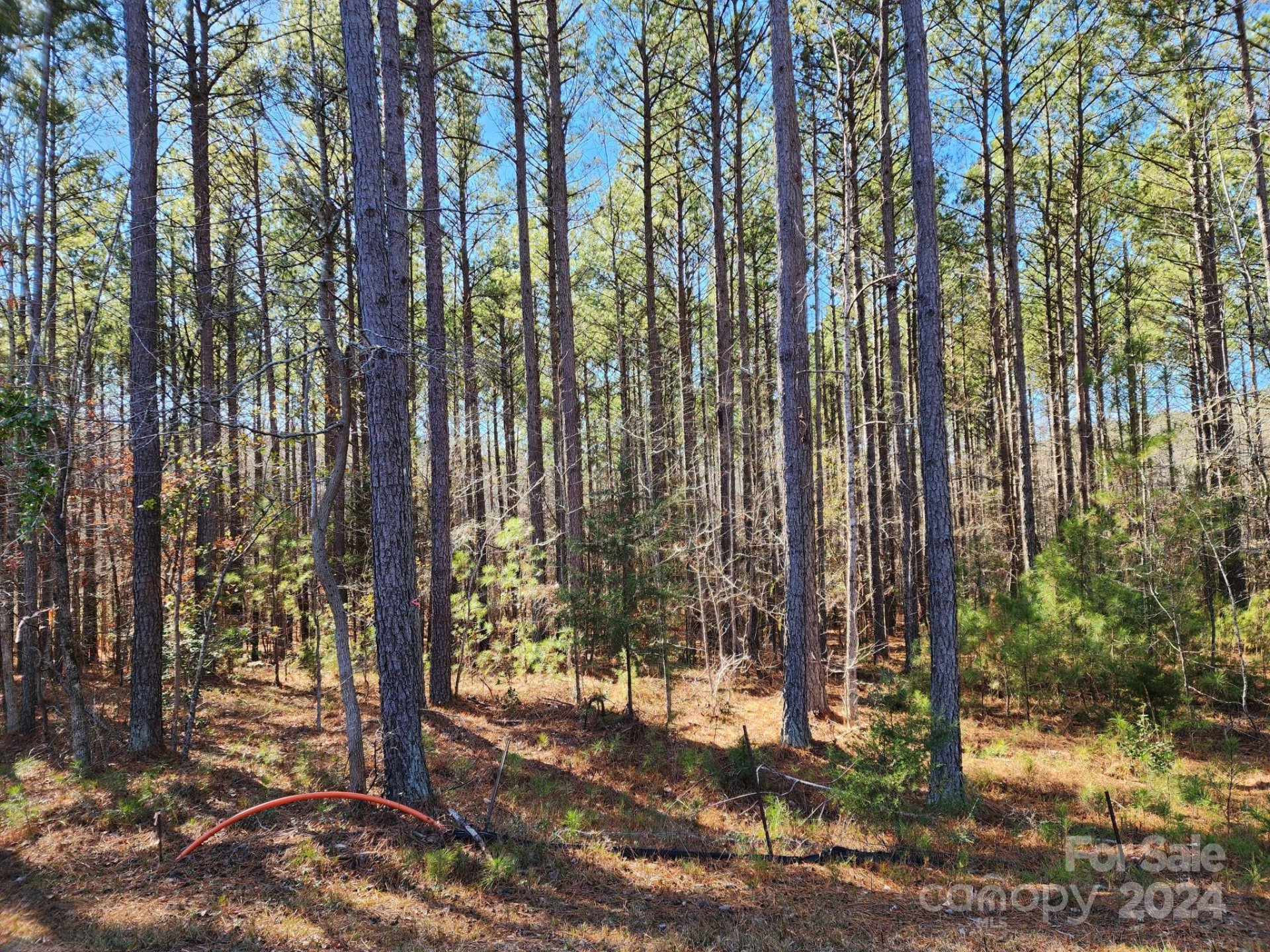Property image 4 at 3331 Sherman Drive, Lancaster, SC 29720
