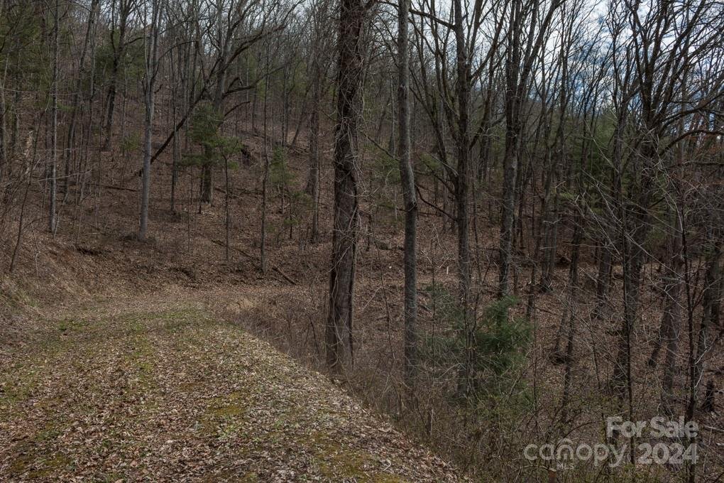 Property image 2 at 999 Falconwood Lane, Asheville, NC 28804