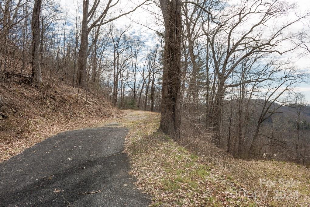 Property image 3 at 999 Falconwood Lane, Asheville, NC 28804