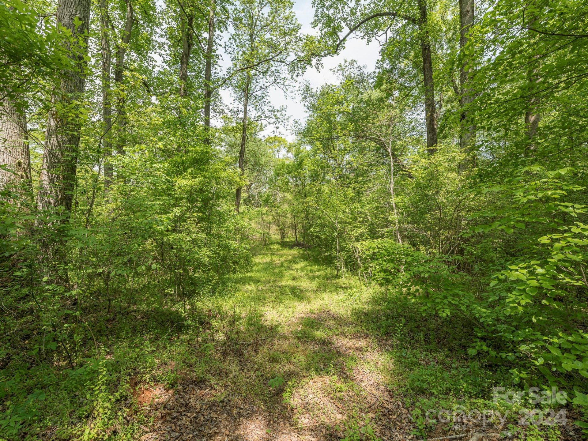 Property image 1 at Lot 8 Walkaloosa Way, Mooresboro, NC 28114