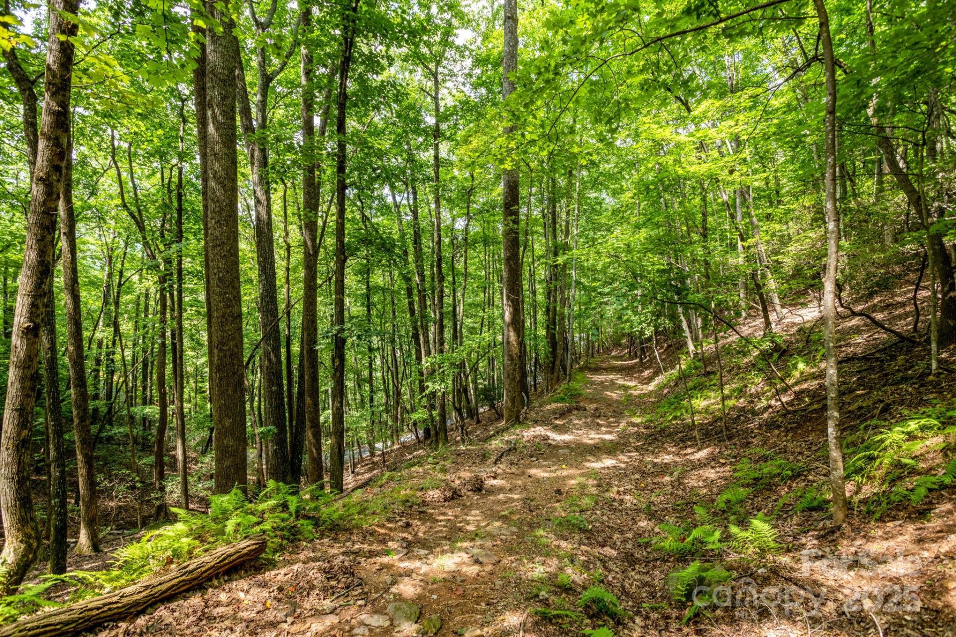 Property image 1 at 40 Cedar Drive, Mills River, NC 28759