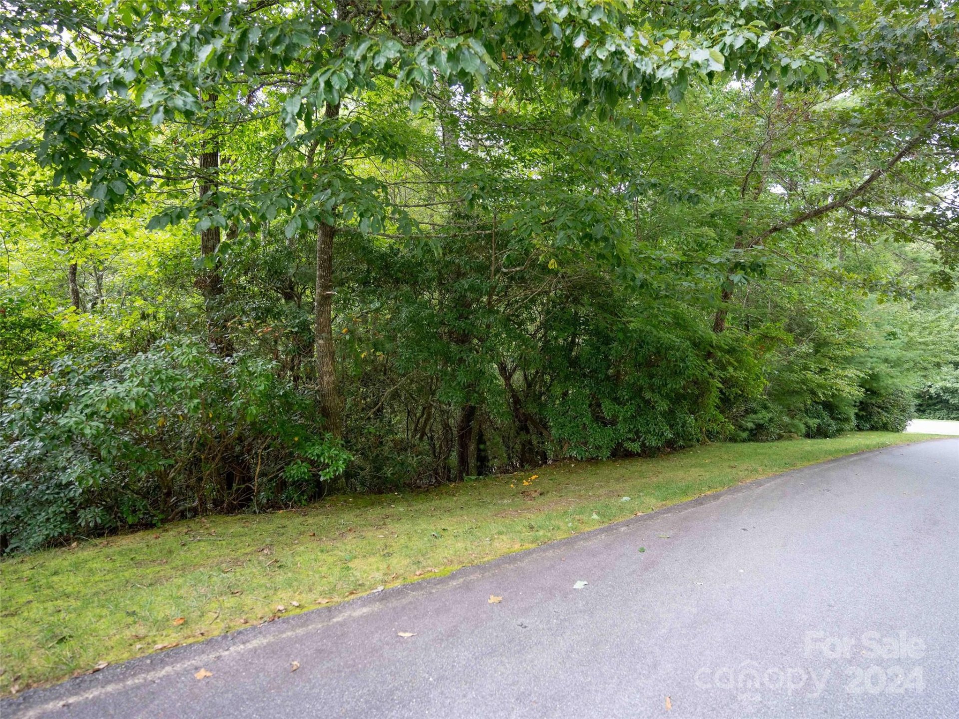 Property image 4 at 700 Blackgum Court, Hendersonville, NC 28739