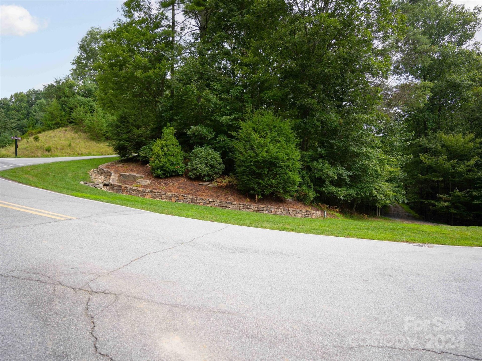 Property image 5 at 700 Blackgum Court, Hendersonville, NC 28739