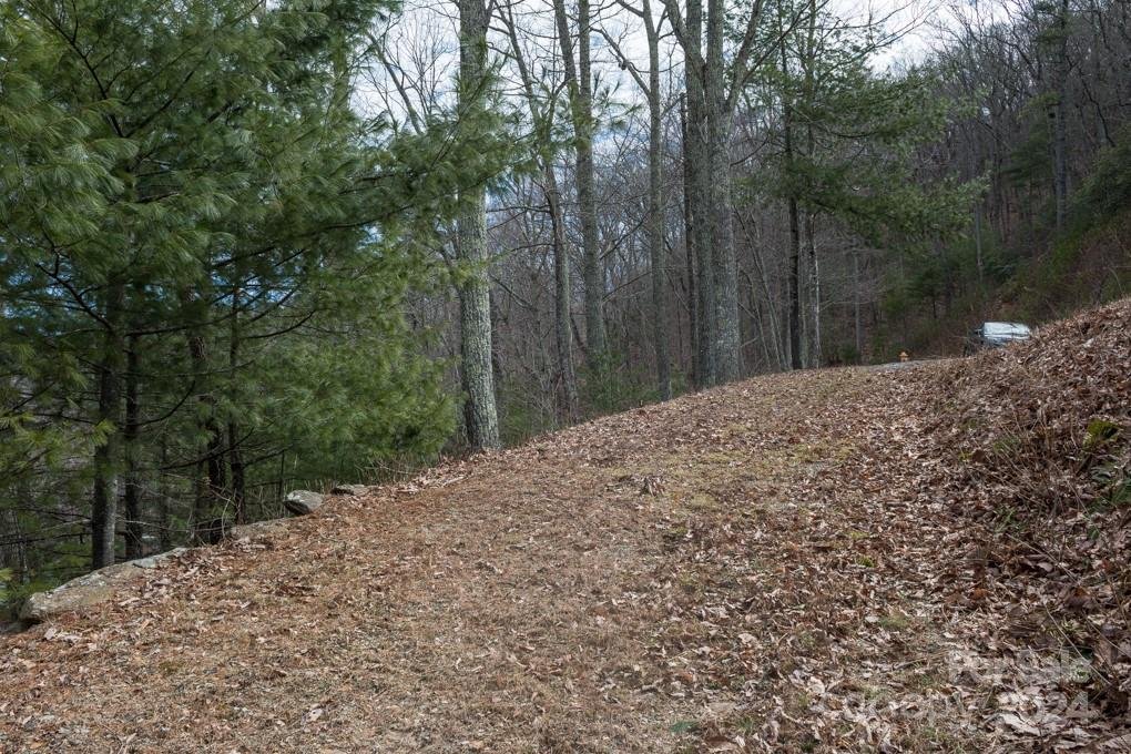 Property image 2 at 999 Falconwood Lane, Asheville, NC 28804