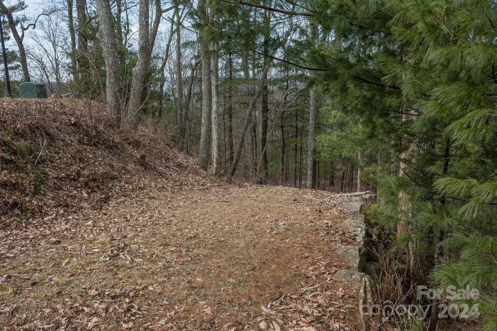 Property image 3 at 999 Falconwood Lane, Asheville, NC 28804