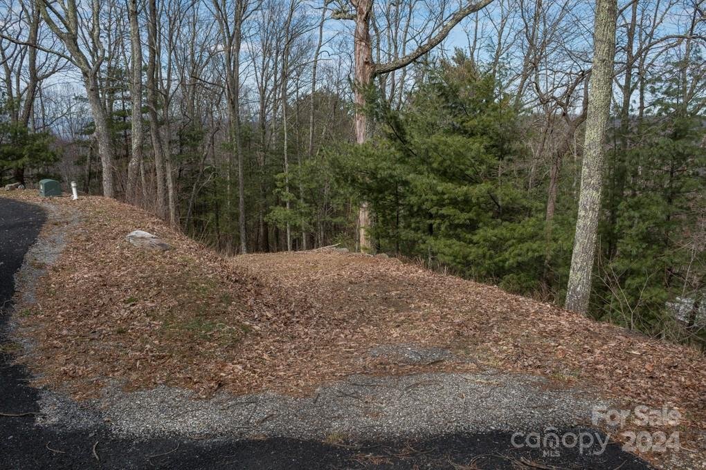 Property image 4 at 999 Falconwood Lane, Asheville, NC 28804