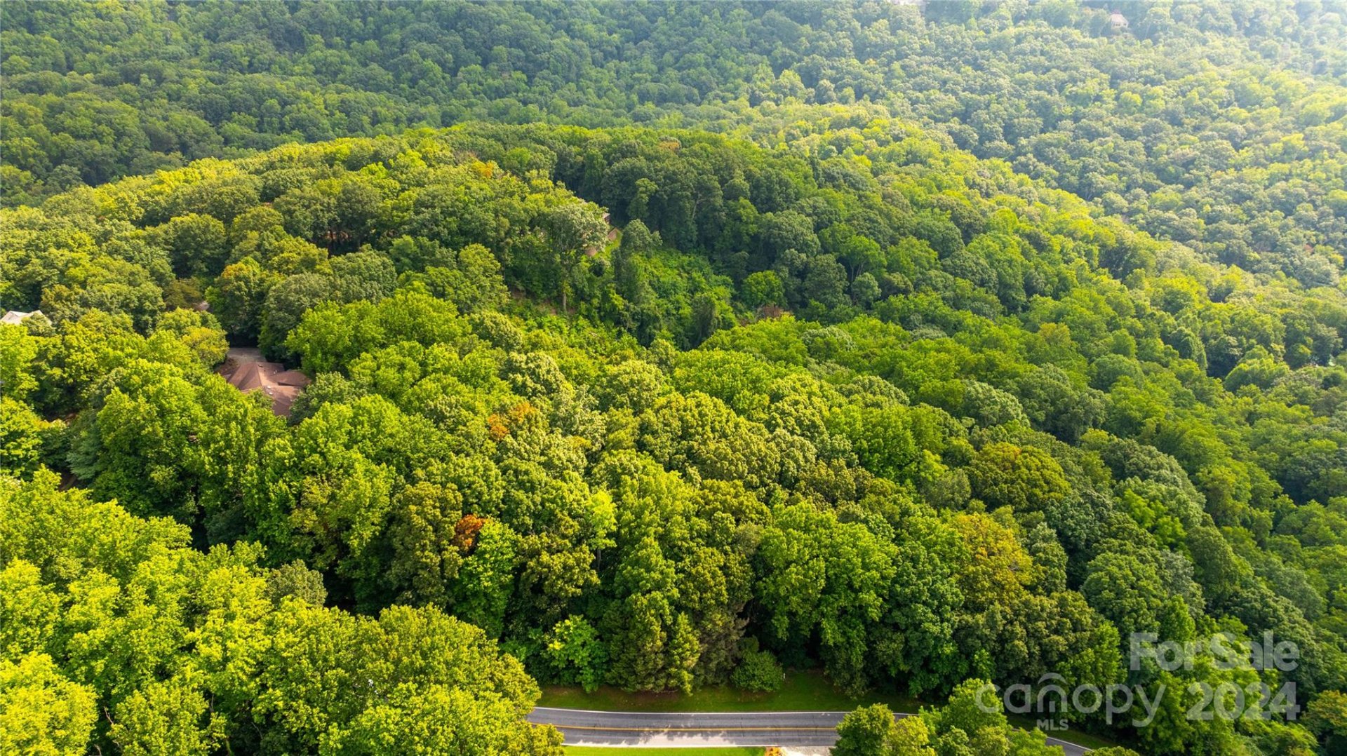Property image 3 at 0 Plumley Summit Road, Landrum, SC 29356