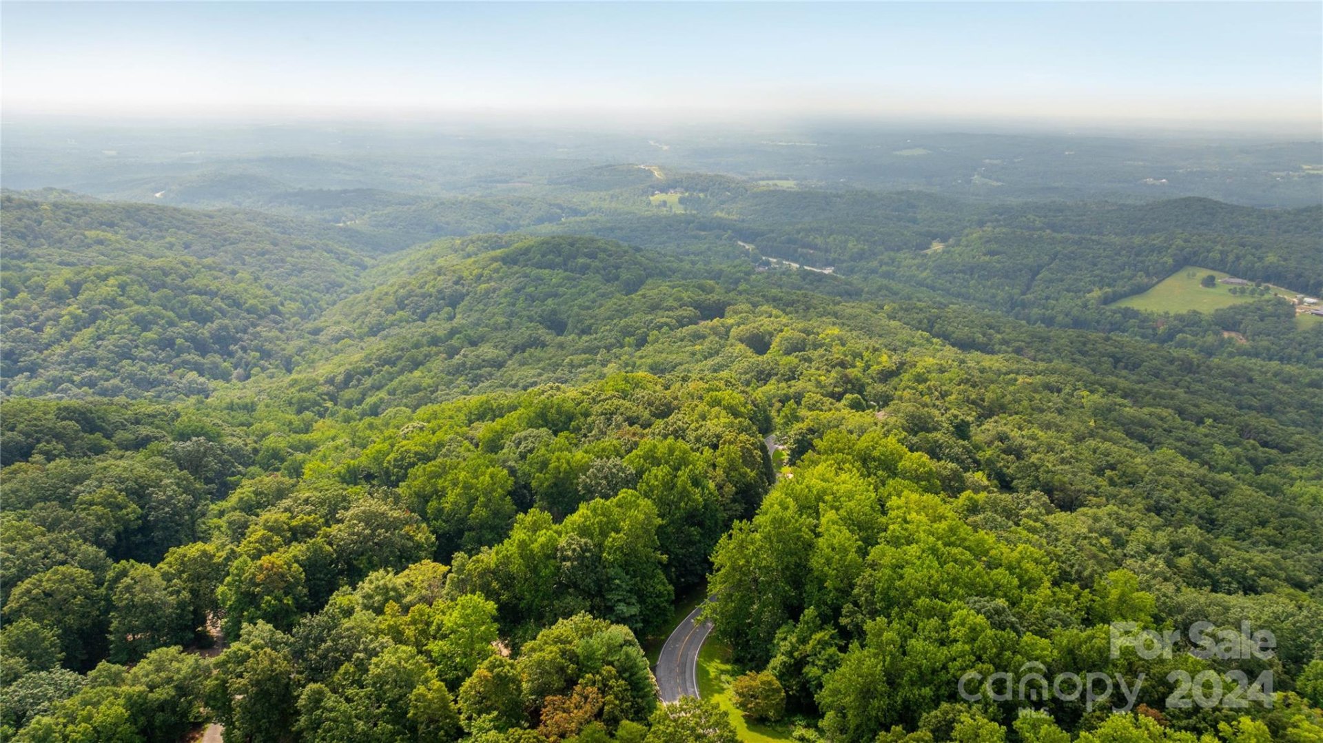 Property image 5 at 0 Plumley Summit Road, Landrum, SC 29356