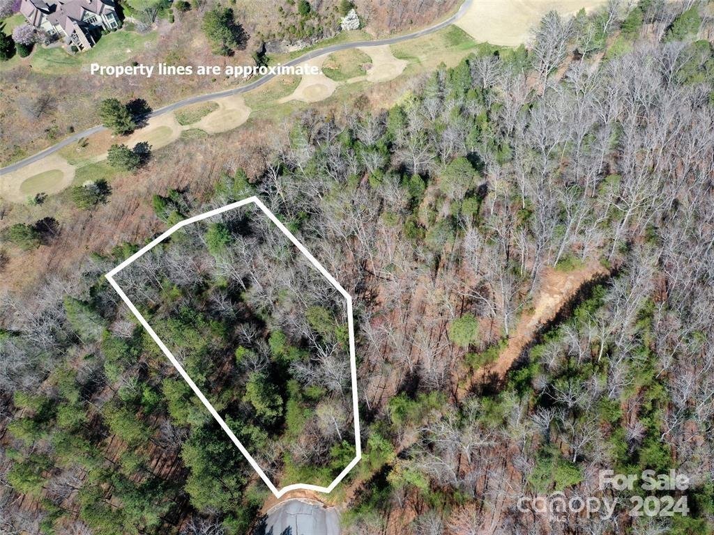 Property image 4 at 25 Monteith Place, Mill Spring, NC 28756