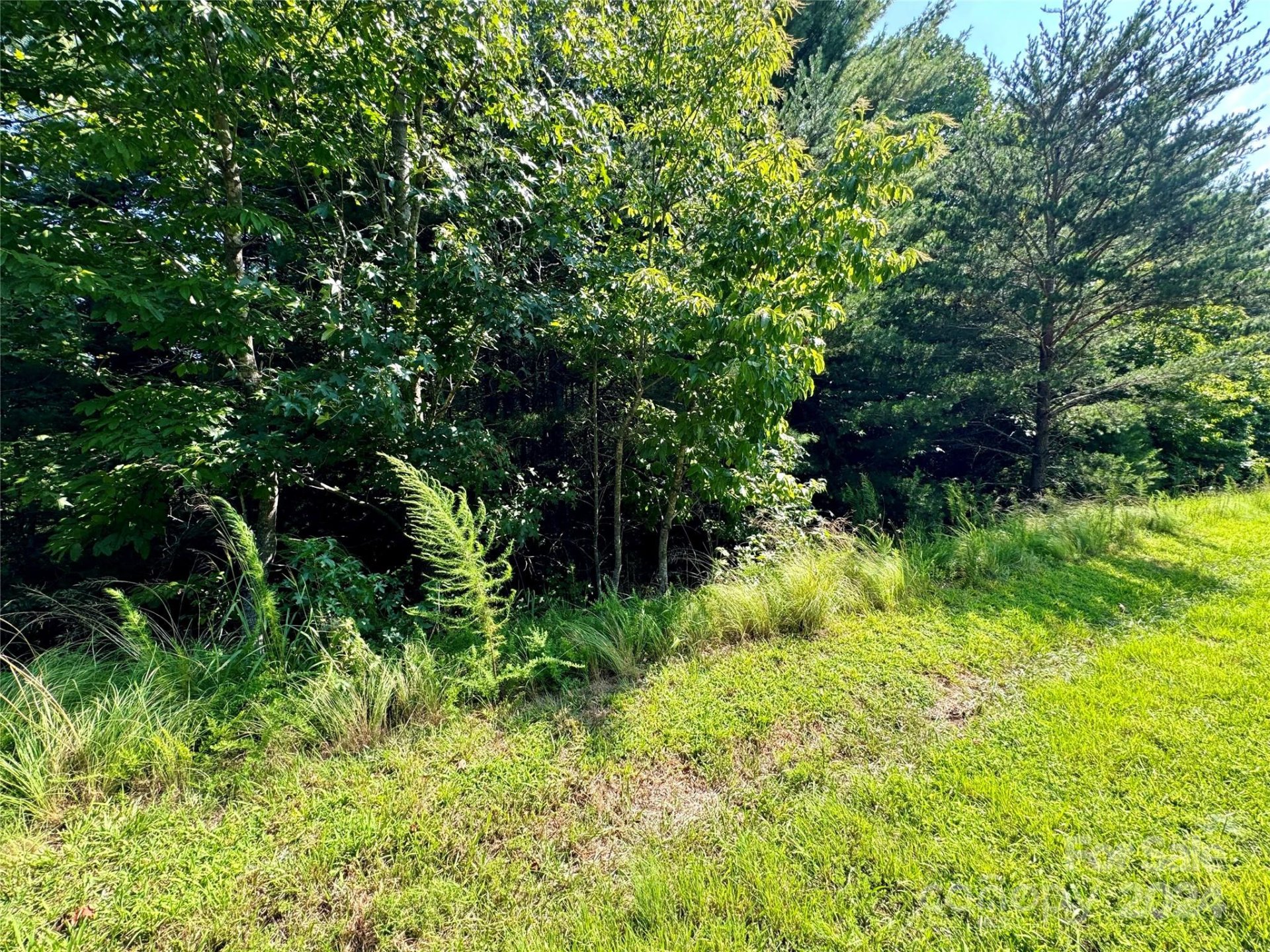 Property image 3 at 0 Cedar Ridge Drive, Nebo, NC 28761