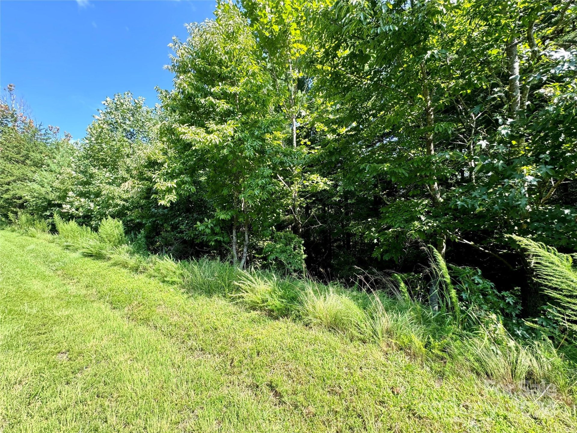 Property image 4 at 0 Cedar Ridge Drive, Nebo, NC 28761