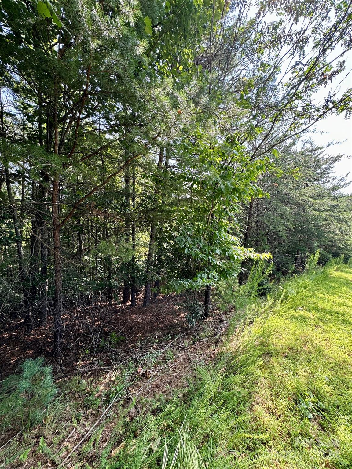 Property image 4 at 151 Cedar Ridge Drive, Nebo, NC 28761