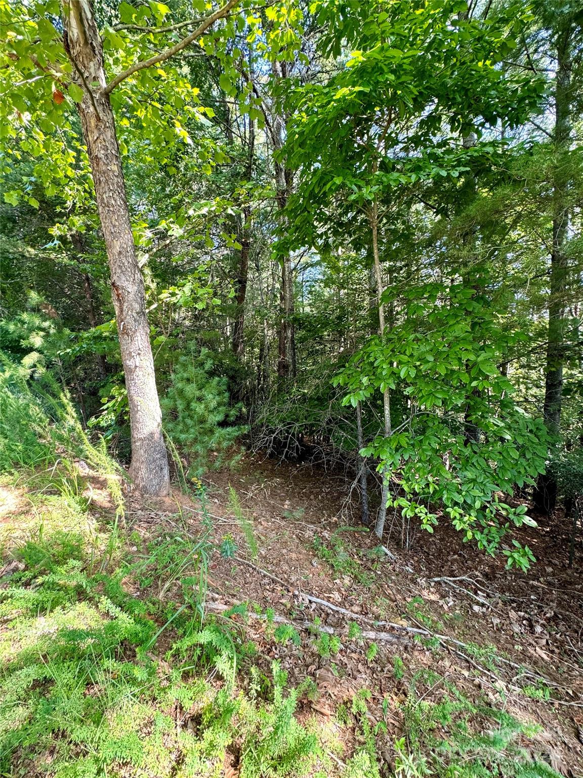 Property image 5 at 151 Cedar Ridge Drive, Nebo, NC 28761