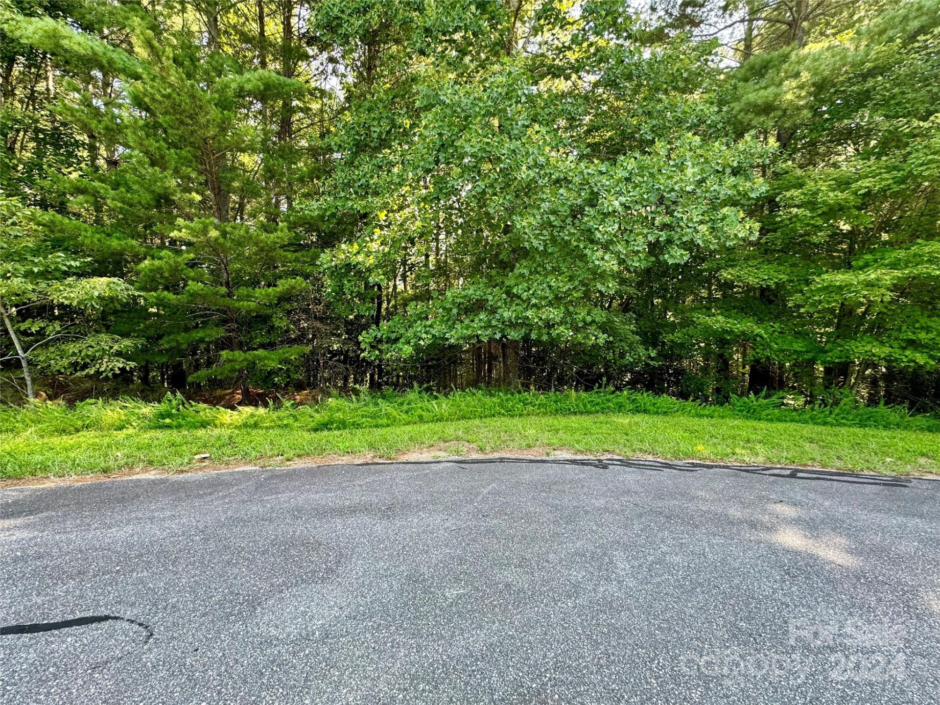 Property image 3 at 0 Cedar Ridge Drive, Nebo, NC 28761