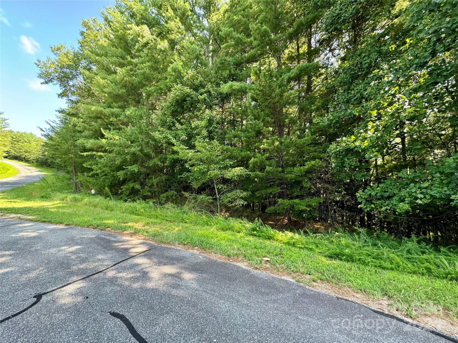 Property image 4 at 0 Cedar Ridge Drive, Nebo, NC 28761